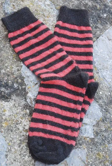 Alpaca Everyday Socks Children
