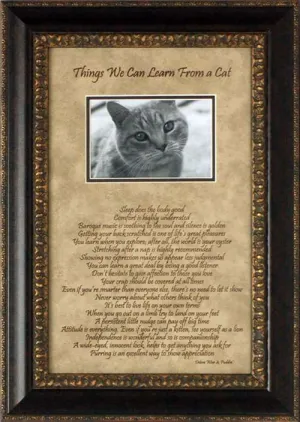 Cat Things Photomat: Framed with Glass