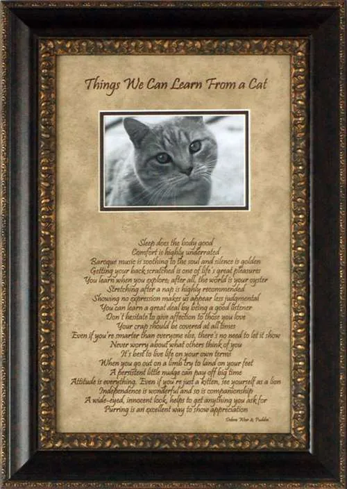 Cat Things Photomat: Framed with Glass
