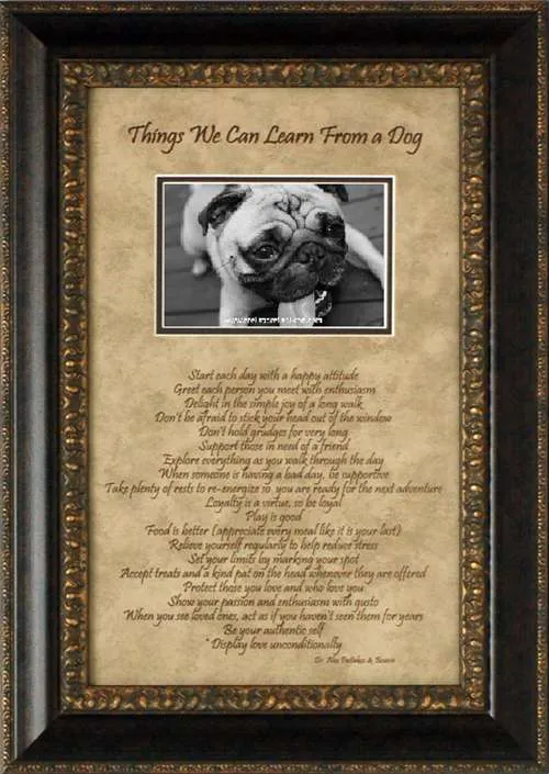 Dog Things Photomat: Framed with Glass