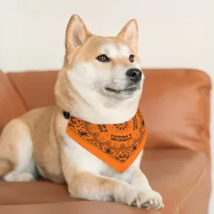Everyday is Halloween Pet Bandana Collar
