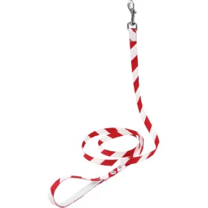 Everyday Leash, Holiday Stripe