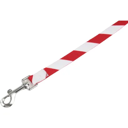 Everyday Leash, Holiday Stripe