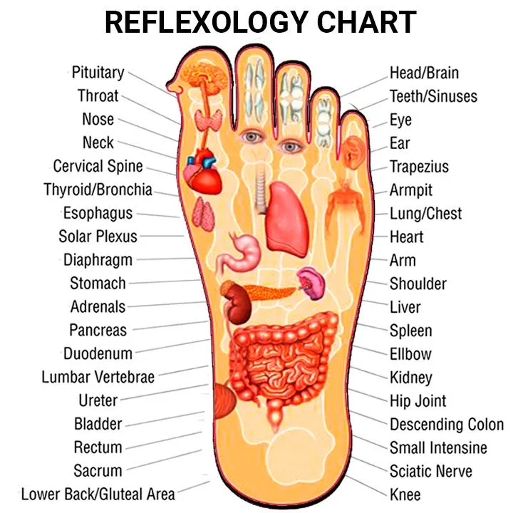 FITZ: Daily Foot Acupressure & Reflexology Massager