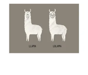 LOLlama Postcard