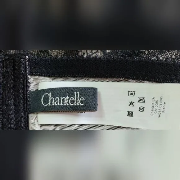 NWT Natori Lingerie Size Medium Black Chantelle Lace Nude Lining Garter Belt