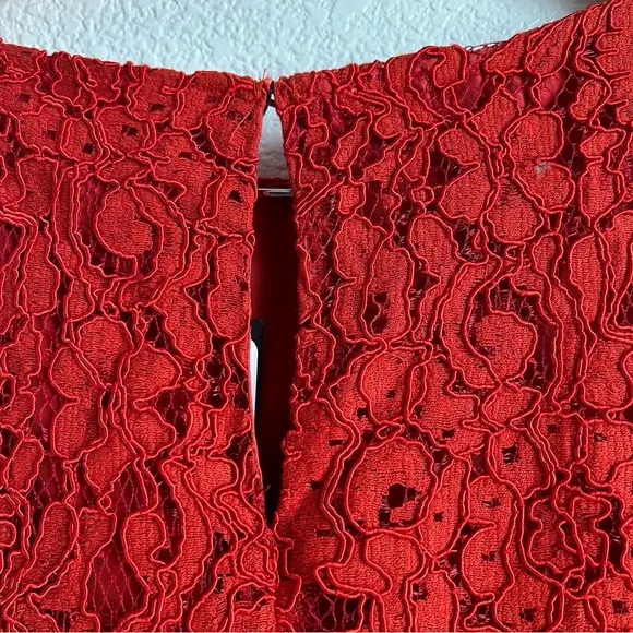 NWT Zara | Allover Lace Mini Dress