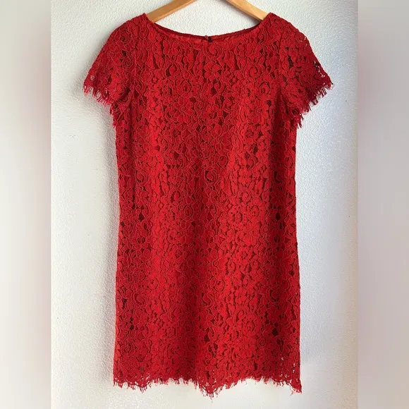 NWT Zara | Allover Lace Mini Dress