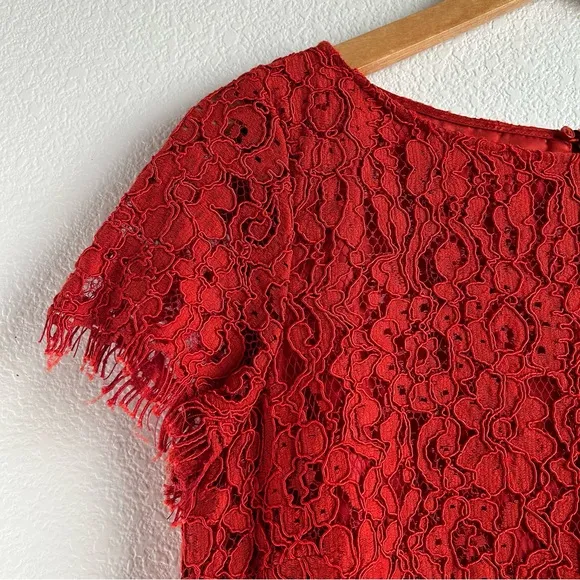 NWT Zara | Allover Lace Mini Dress