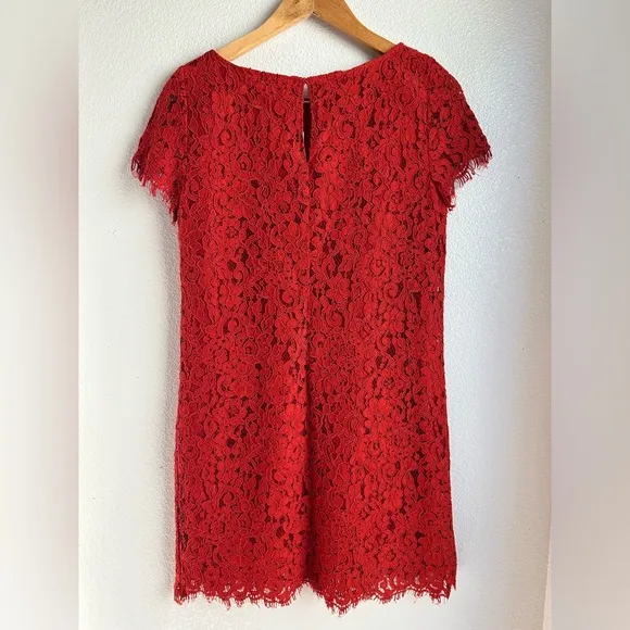 NWT Zara | Allover Lace Mini Dress
