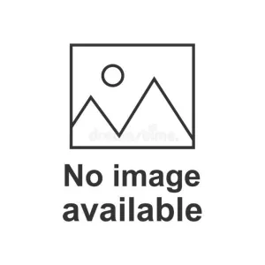 Smartwool Women's Everyday Merino Thong Boxed